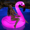 Bouée Flamant Rose Lumineuse - Boueelicorne.com