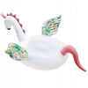 bouée pegasus