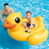 Bouée Canard Jaune (147x147 cm) - Boueelicorne.com