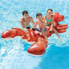 Bouée Homard - Boueelicorne.com