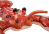 Bouée Homard - Boueelicorne.com