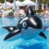 Bouée Piscine Orque - Boueelicorne.com