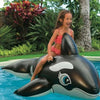 Bouée Piscine Orque - Boueelicorne.com